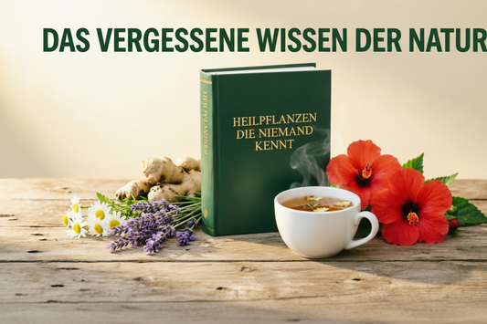 Heilpflanzen, die niemand kennt – Erweiterte Ausgabe 2026